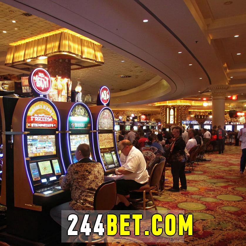 244bet com